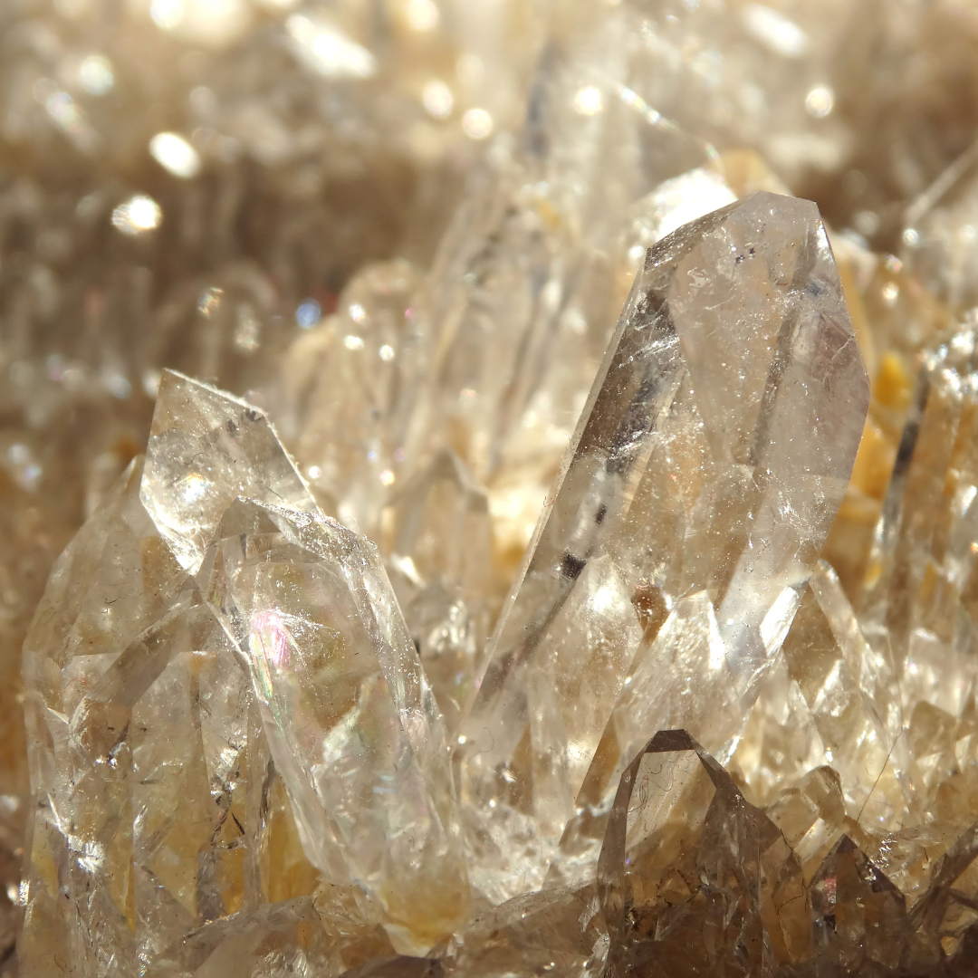 The Scent Collections as Zodiac Signs