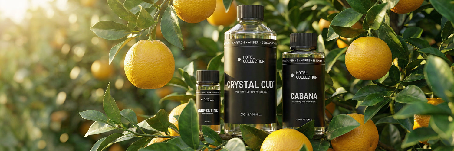 Bergamot Scent: The Top Guide to This Luxury Fragrance Note