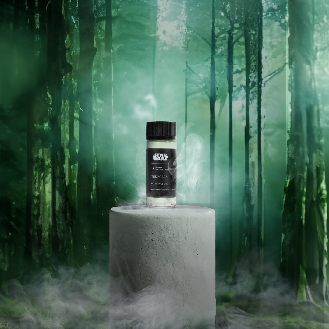 Star Wars ™ The Force