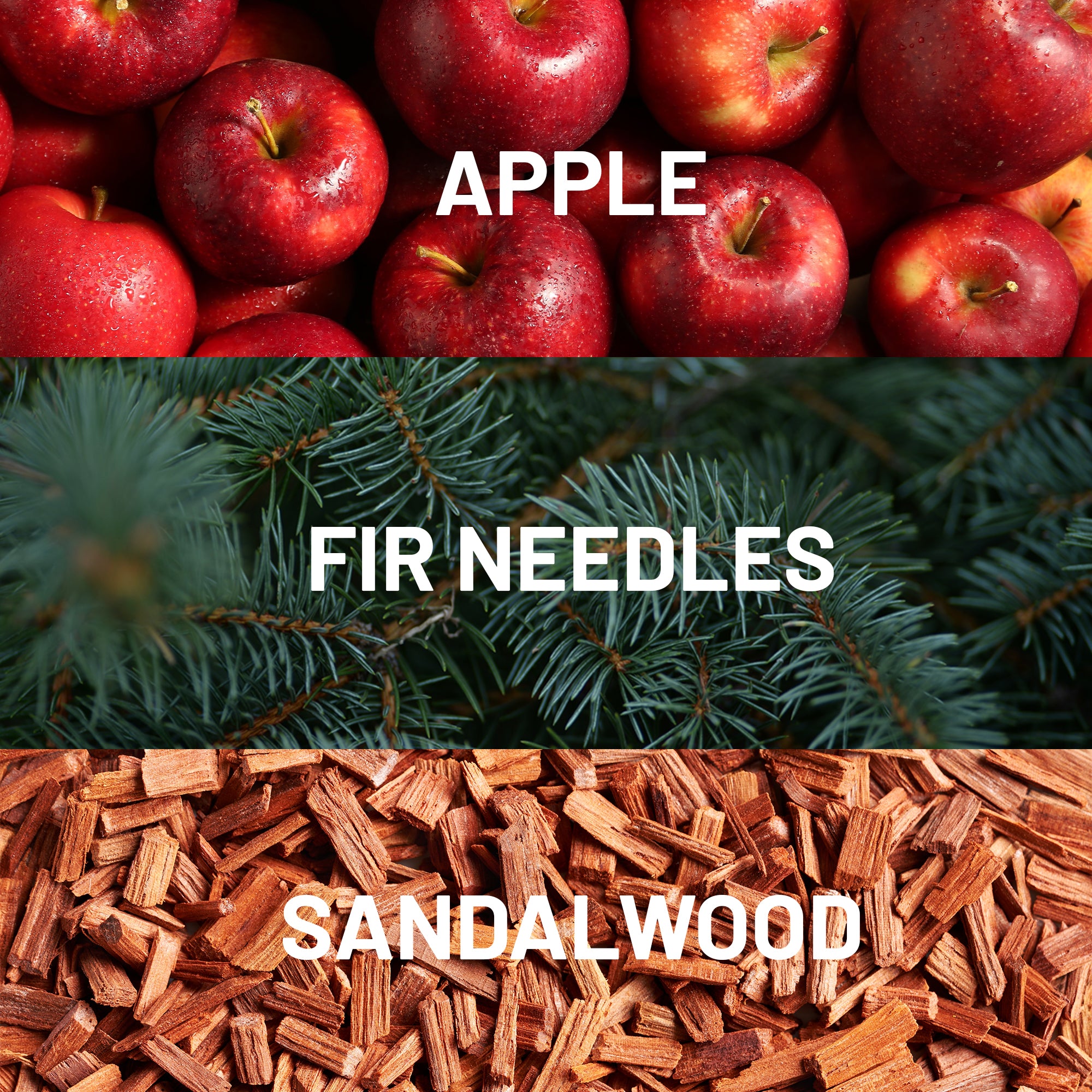 Fir Tree