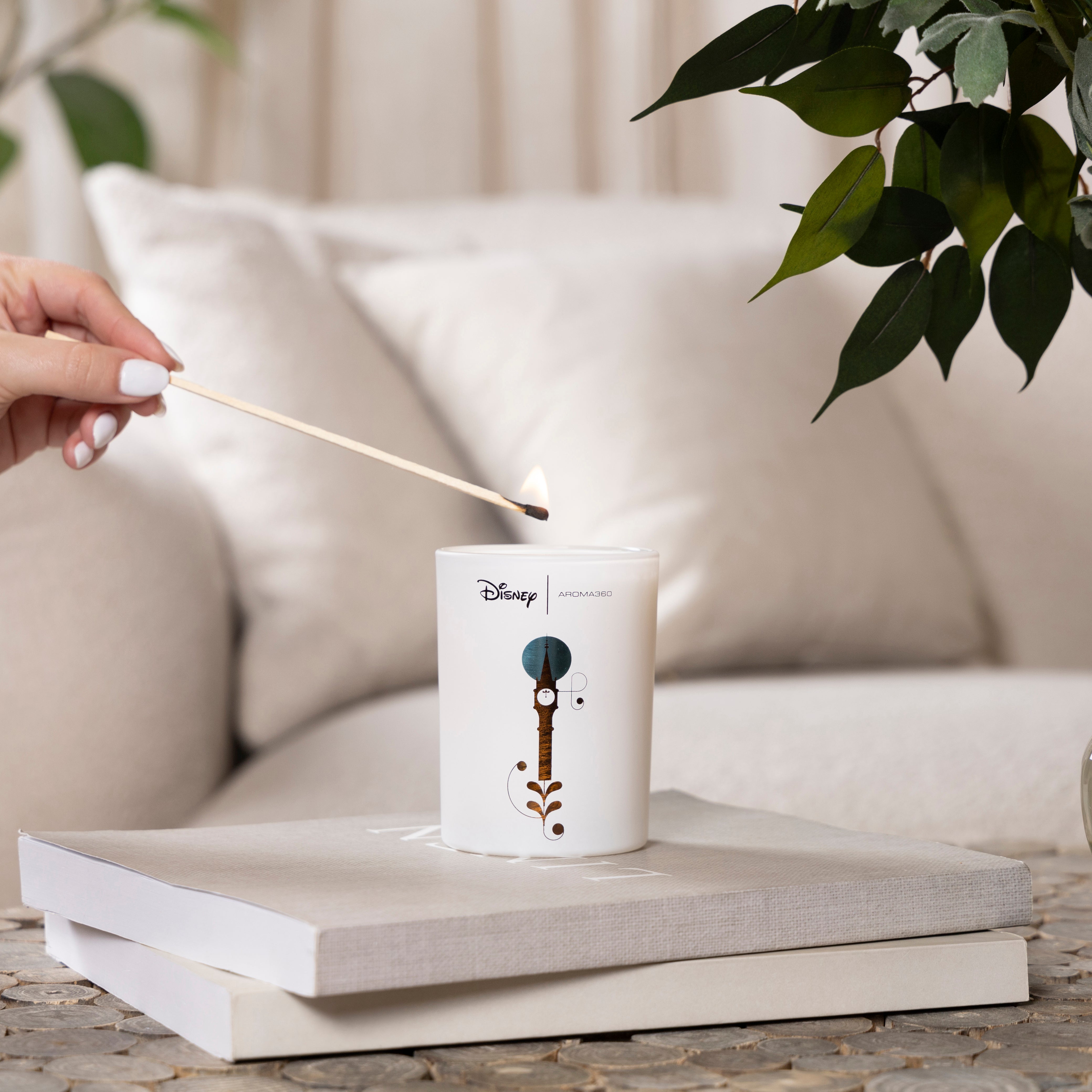 Cinderella Collection Set