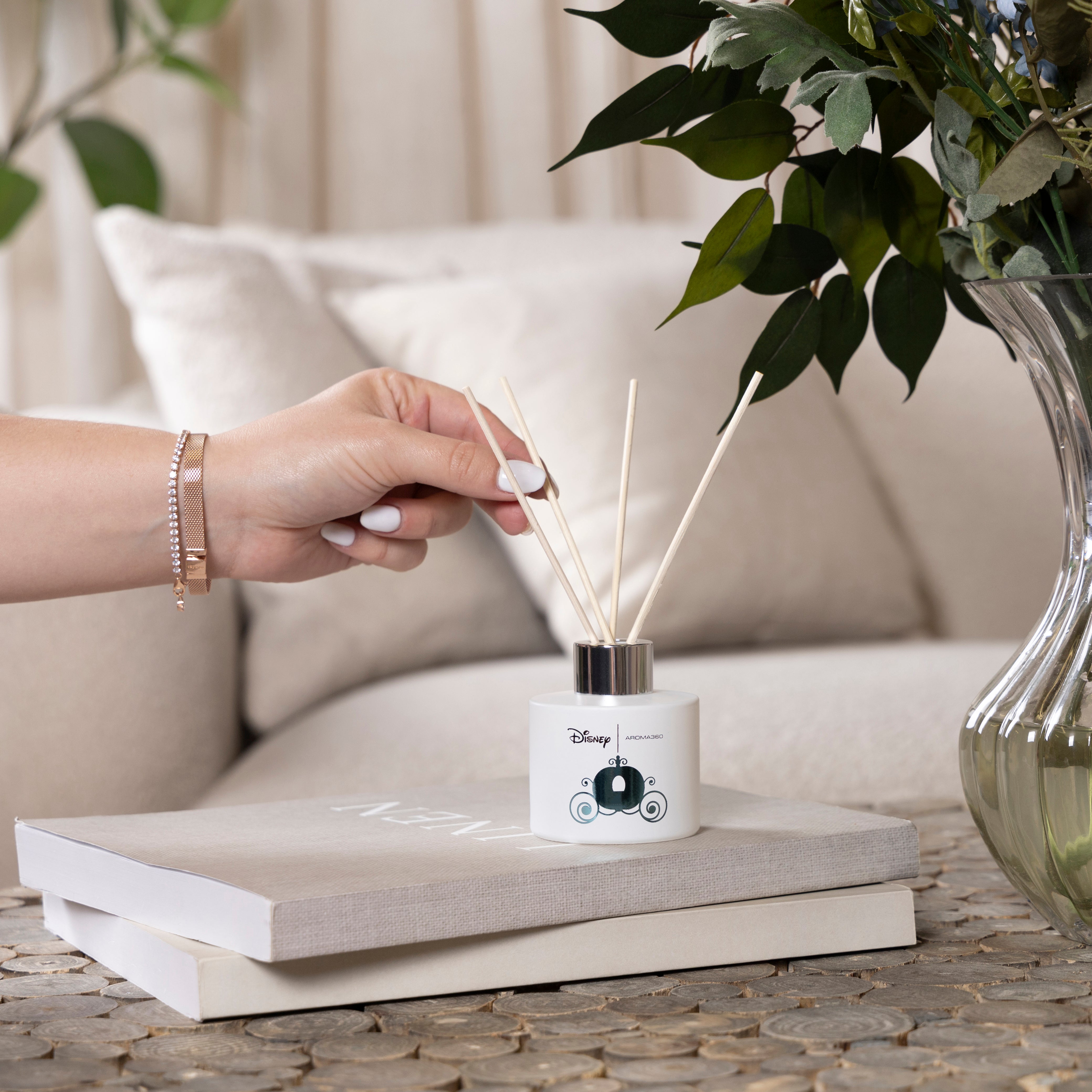 Cinderella Collection Set