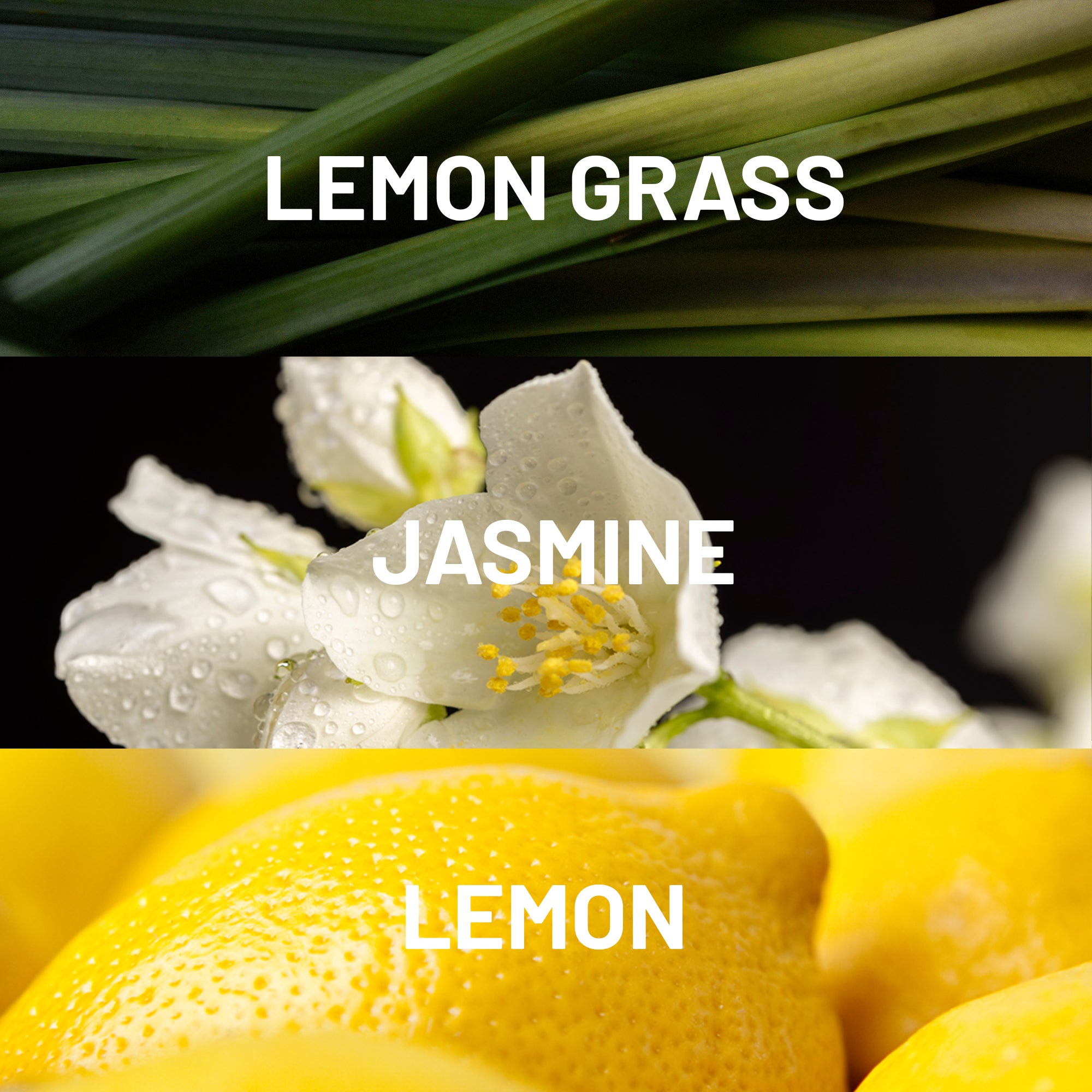 Citrus Home Fragrance Oil | Hotel Collection®