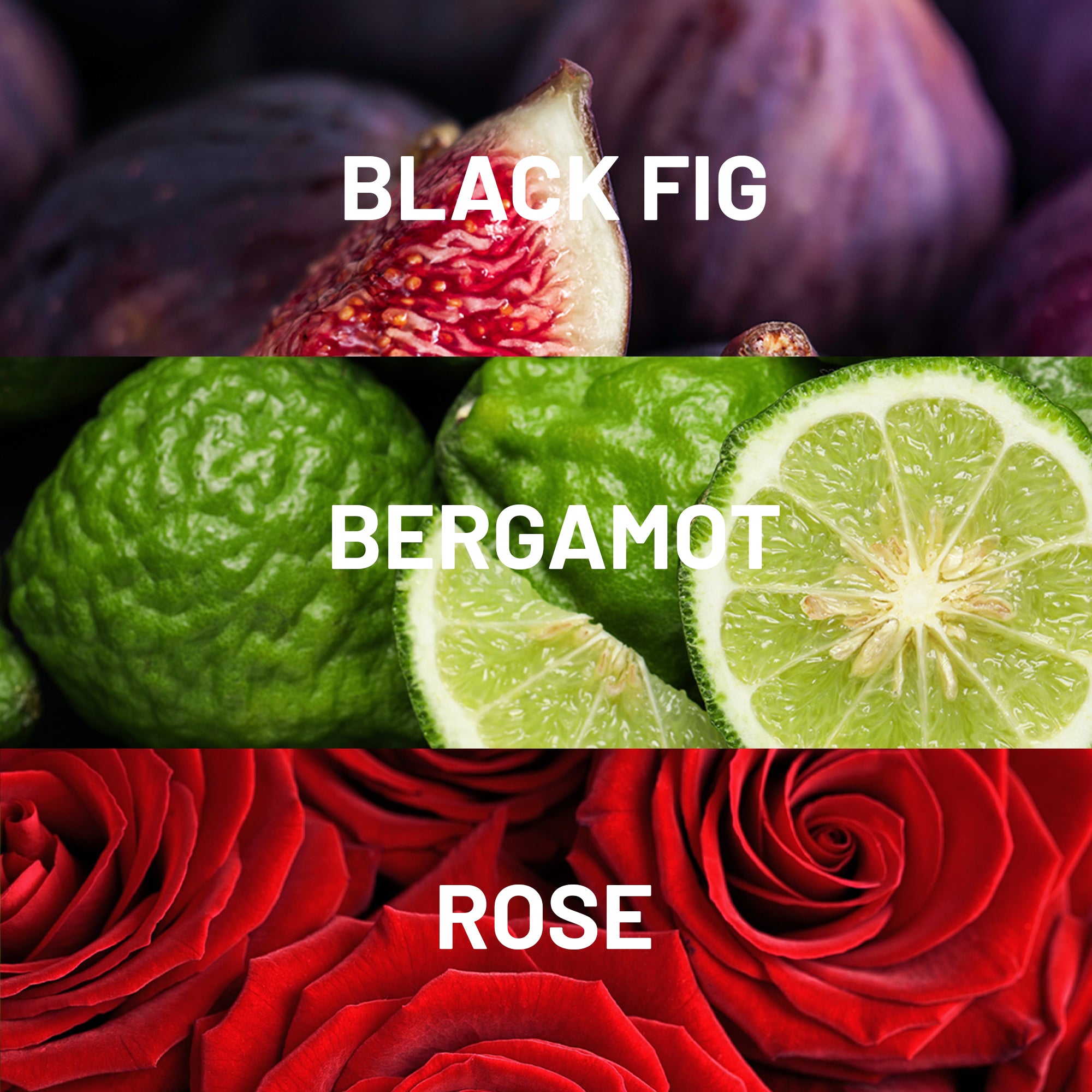 Fragrância Caseira Sensual De Figo Preto E Cedro | Hotel Collection®