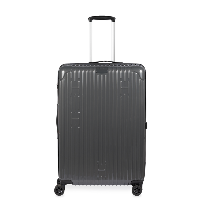 Check-In Luggage