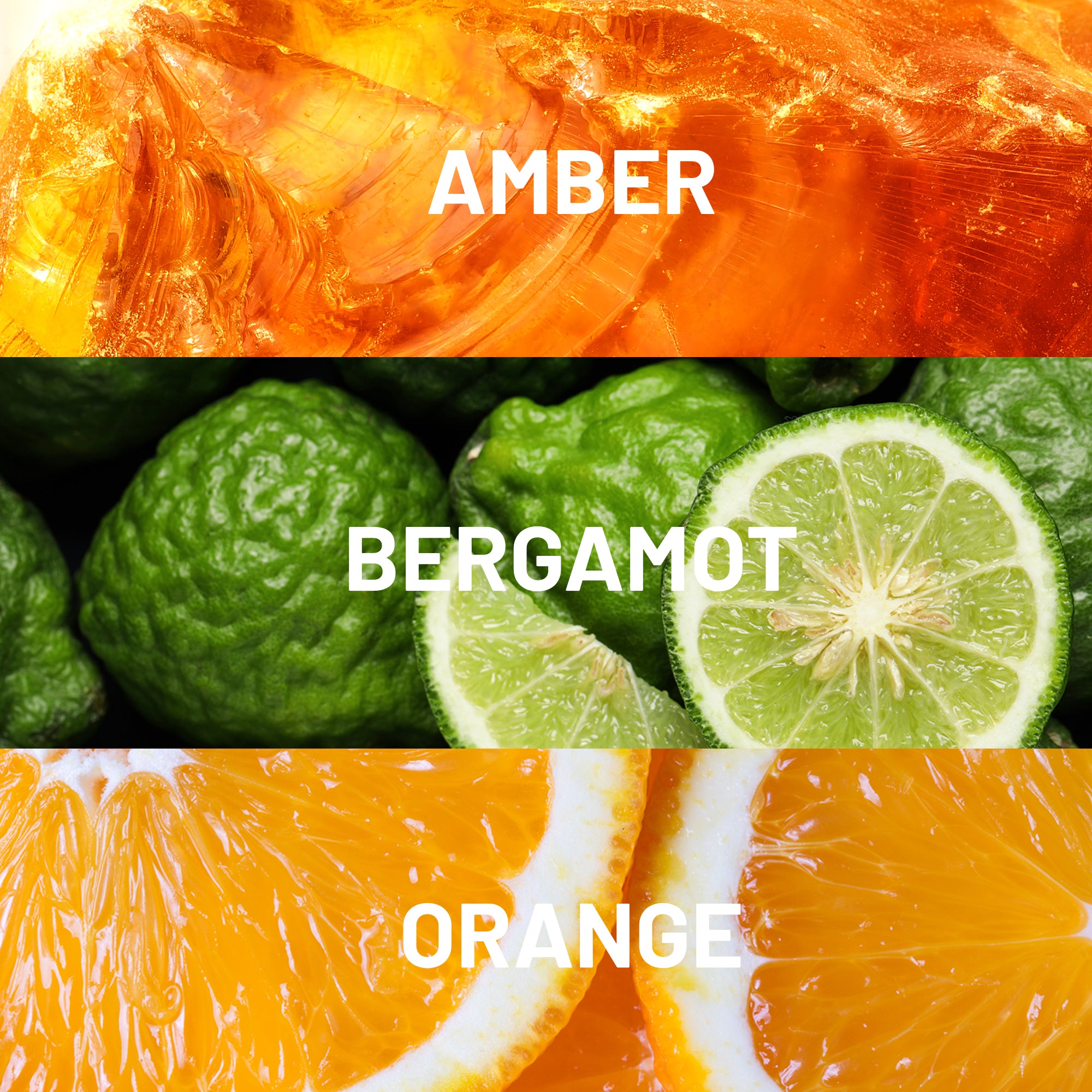 Star Wars ™ Rebel Spirit