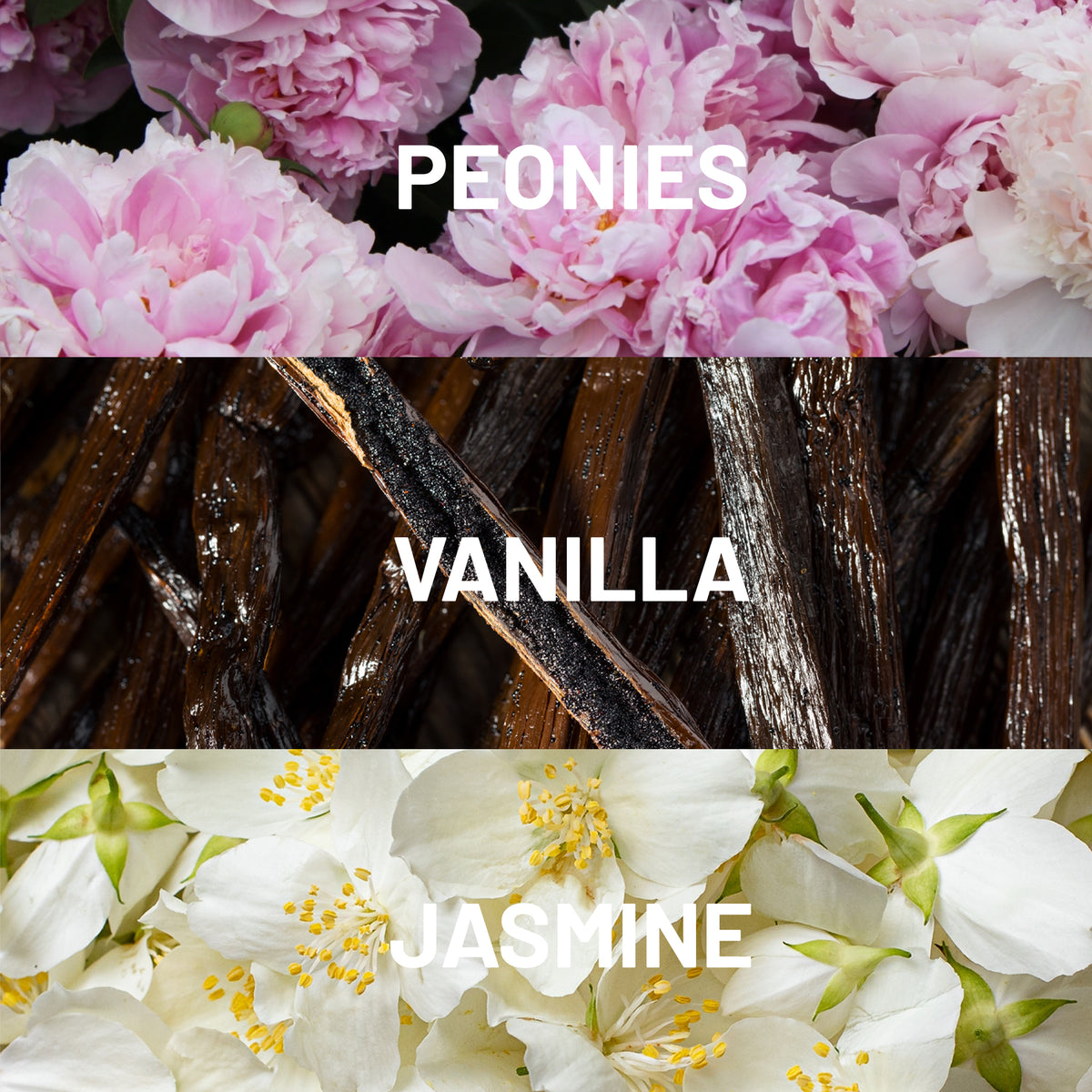 Riviera - Luxury Gourmand Scent for Home | Hotel Collection®