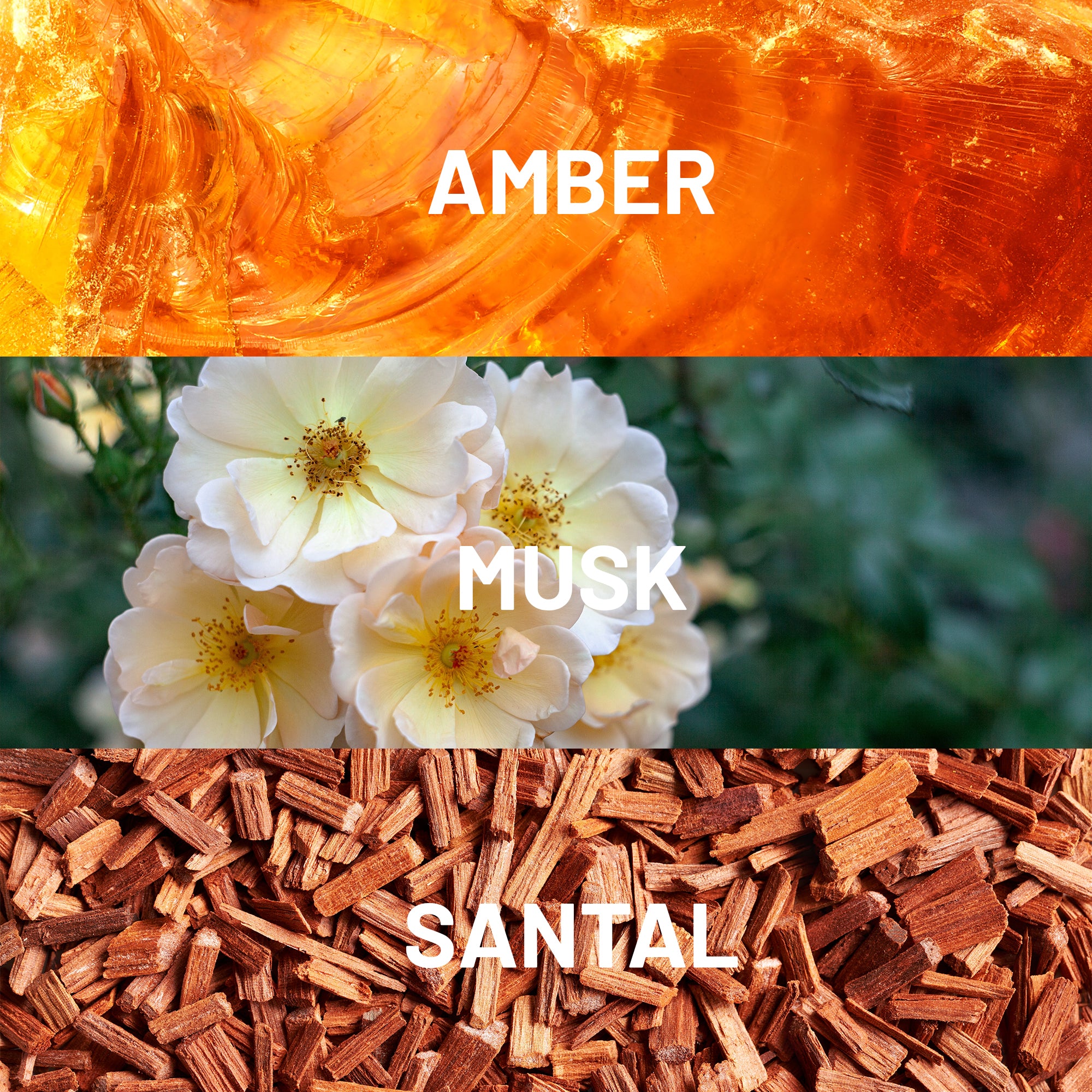 Star Wars ™  The Duel