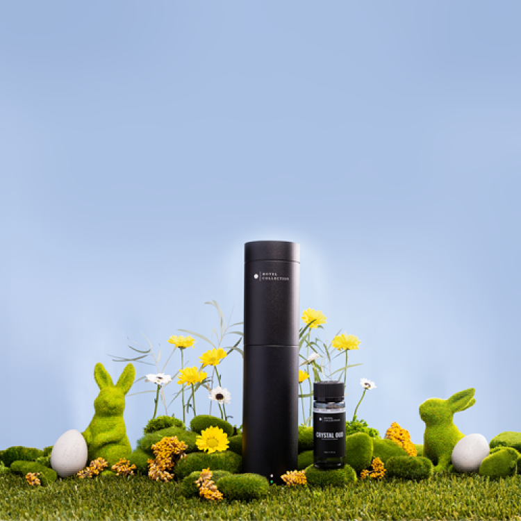 Hotel Collection Sampler Set Luxury Hotel Scents & Lifestyle Products | Hotel Collection